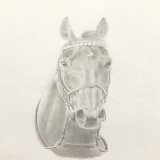 #弥生賞 歴代優勝馬シリーズ  2歳王者を退け重賞初制覇  #マカヒキ