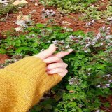 اللهُم مسآء لا يمسنا فيه سوء,  مسآء مبشر بكل شيء جميل"   .  .  .#مساءالخيررر  #مساءالورد