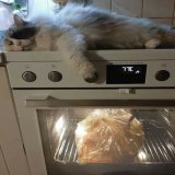 А все уже поставили картошку на мясной салат и селедку под шубой отваривать? Беспокоюсь