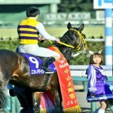 ウマ娘との邂逅  #ニシノデイジー   #中山大障害   #ウマ娘   #中村カンナ