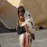 If you're looking to support the victims of the Turkey-Syria earthquake, you can find all the information you need below