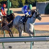 2022/12/18 中京11R ゴールドムーンステークス リフレイムちゃんと野中くん尊すぎる ホント中京まで来てよかった&hellip; リフレイムちゃんありがとう！  #リフレイム  #野中悠太郎 騎手  #コールドムーンステークス