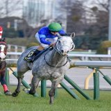 2023/01/28　東京10R クロッカスS  ゴール前ウインクをしてるように見えるヤクシマ  #ヤクシマ