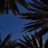 keep looking up シ