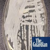 World ill-equipped for the dangers of #fungal #infections ...   | #fungi | #Cordyceps | #fungus | #climatechange | #Ophiocordyceps | By @LindaGeddes via @guardian
