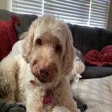 So fresh!  So loved!  #MyGirl #DoodlesOfTwitter #May