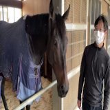 【激戦から一夜明けて】 3冠牝馬 #デアリングタクト は悔しい6着でした。  帰ってきてからもいつも通りで、元気とのことでホッとしました。  次こそは復活を。応援したいです！0:0511.3K views