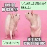 be  careful  #ワクチン薬害  #ワクチン後遺症 #ファイザーQuote Tweet