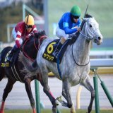 ルメさん、貴方はどこまで行くのか ヤクシマあっという間に交わし去ったね&hellip;&hellip;