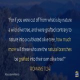 Many have twisted this verse for antisemitic purposes, but it actually affirms that God's plan for Israel is still in effect. The pattern of theologians removing ethnic Israel from God’s plan has led to antisemitism, for which the church should repen