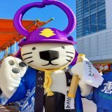 唐ワンくんに会うことができました  #唐津くんち