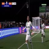 GOL GOL GOL! &Eacute; DO PALMEIRAS!  Breno Lopes abre o placar para o Verd&atilde;o!   Boa jogada do Giovani e boa ajuda do goleiro do Mirassol!
