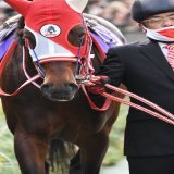 天皇賞・秋 パンサラッサ