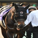 天皇賞・秋 ポタジェ