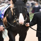 天皇賞・秋 イクイノックス