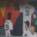 WBC日本対イタリア #WBC #侍ジャパン #宮城大弥 #中野拓夢 #岡本和真 #鈴木誠也 #栗林良吏 #戸郷翔征