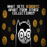 Bitcoin and NFTs are two of the hottest topics in the digital world right now, and a new NFT collection called BirdsBTC is poised to take advantage of the benefits of Bitcoin to become a major player in the NFT space.