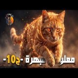 معلومات عامة مبهرة ستسمعها لأول مرة - الجزء 10 -