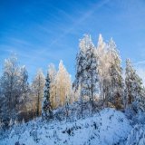 Какой сегодня праздник: 22 января 2023 года