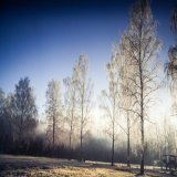 Какой сегодня праздник: 24 февраля 2022 года