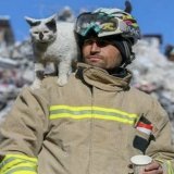 TOUCHING! A cat was saved from under the earthquake rubble in Turkey. The animal now refuses to leave its rescuer's side.  Everybody needs a hero&hellip; cats too #TurkeyAndSyriaEarthquake