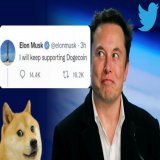"i Will Keep Supporting #Dogecoin "  #DogecoinToTheMoon