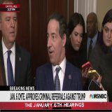 Rep. Raskin: "Nobody before, much less a president, had ever come so close to overthrowing a presidential election...so our greatest legacy...would be one that is certified by time, which is that we never encounter anything like this again."