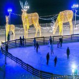 Дед Мороз и Снегурочка посетят каток &laquo;Конторы пароходства&raquo;    Сказочное открытие катка пройдет в эту субботу 17 декабря в 18:00.    На льду пройдет представление с музыкой, аниматорами и главными символами Нового года &ndash; Дедом Морозо