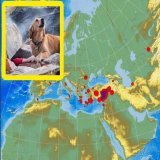 Планету продолжает трясти:  В Турции (Кахраманмараш) произошло новое землетрясение магнитудой 5,0.   В Тайване землетрясение магнитудой 5,1 балла.  В Аргентине 5,1 балла.  В США в заливе Кука (штат Аляска) магнитудой 3,2.  Прямой эфир