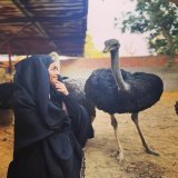 النعامة و الطاوس \ud83d\ude02\u2764\ufe0f
