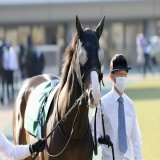 2023/2/18 東京11R ダイヤモンドS  シルブロン 3着　 初めての重賞挑戦でしたが、 頑張って走ってくれました。 勝ち馬にマークされたような感じでしたが、 この経験を次に活かせてもらえたらと思います。 今日はお疲れ様でした