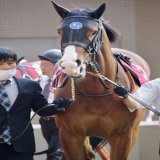 #ママコチャ  #阪神牝馬ステークス