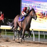 #日本テレビ盃 1着はフィールドセンス。本日船橋競馬場で行われた第69回日本テレビ盃(JpnII)は、本橋孝太騎手(船橋)騎乗で7番人気のフィールドセンス(牡8･船橋･山下貴之厩舎)が制しました。同馬はダートグレード初戦で初タイトル。半馬身差の2着にクラウンプライド、3着はサルサディオーネ。