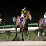 #マイルチャンピオンシップ南部杯 1着はカフェファラオ。本日盛岡競馬場で行われたRoad to JBCの第35回マイルチャンピオンシップ南部杯(JpnI)は、福永祐一騎手(JRA)騎乗で1番人気のカフェファラオ(牡5･JRA･堀宣行厩舎)が制しました。ハナ差の2着にヘリオス、3着はシャマル。
