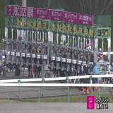 【#JBCスプリント 結果】 1着 6ダンシングプリンス 3人気 2着 12リュウノユキナ 5人気 3着 8ヘリオス 4人気  第22回JBCスプリント(JpnI･盛岡･左1200m)は三浦皇成騎手(JRA)騎乗のダンシングプリンスが制しました。生産は社台ファーム。勝ちタイムは1分09秒1(良)。