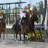 #チャンピオンズカップ 1着はジュンライトボルト。本日JRA中京競馬場で行われた第23回チャンピオンズカップ(GI)は、石川裕紀人騎手(JRA)騎乗で3番人気のジュンライトボルト(牡5･JRA･友道康夫厩舎)が制しました。クビ差の2着にクラウンプライド、3着はハピが入りました。