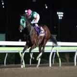 #勝島王冠 1着はライトウォーリア。本日大井競馬場で行われた第14回勝島王冠は、矢野貴之騎手(大井)騎乗で8番人気のライトウォーリア(牡5･川崎･内田勝義厩舎)が制しました。同馬は埼玉新聞栄冠賞に続き重賞連勝。2馬身差の2着にリンゾウチャネル、3着はカジノフォンテンが入りました。