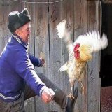 Латвія вимагає, щоб російський посол ванін залишив республіку до 24 лютого - МЗС Латвії