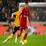 Thoughts on Cody Gakpo so far? #WOLLIV #EmiratesFACup