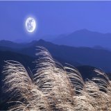 9月10日は中秋の名月！　「十五夜」お月見の雑学をお届け   マクドナルドで「月見バーガー」が販売されお月見シーズンを感じる人も多いでしょう。9月10日が中秋の名月、十五夜の日です。でも名前だけで何なのかよくわかっていない人も多いのでは？ お月見の雑学をお届けします