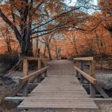 Love this edit really gives that autumn feel to it     #oneplus7pro #shotononeplus #oneplus #gcam @oneplus #oneplus7series