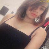 فرسه هايجه