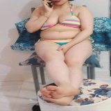 مثير   الجمل