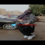 مثير   يخربيت بزازك