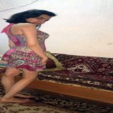 مثير   عصفور كناريا