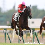【#阪神牝馬ステークス】 ルージュスティリアの川田将雅騎手は最後の直線で外側に斜行したことについて、過怠金3万円と発表。被害馬はイズジョーノキセキ。