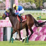 【#阪神牝馬ステークス】 #サウンドビバーチェ 浜中俊騎手 「[前略] 手応え通りしっかりと伸びてくれましたし、先頭に立ってから最後までいい走りだったと思います。力があることを証明できたので、次のG1でもいい走りをしてくれるんじゃないかな」