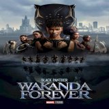 It took a long time coming..but we're here now.  BLACK PANTHER: WAKANDA FOREVER