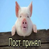 &laquo;Свиной грипп&raquo; обнаружили уже в 74 субъектах РФ &mdash; Роспотребнадзор