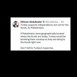 Turkey Palestine and the Kurds